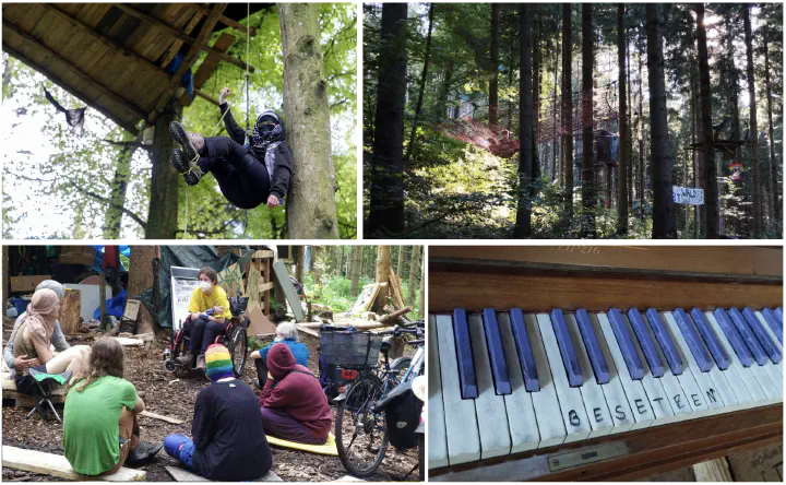 Bilderkollage mit Bildern aus dem Leben in der Waldbesetzung