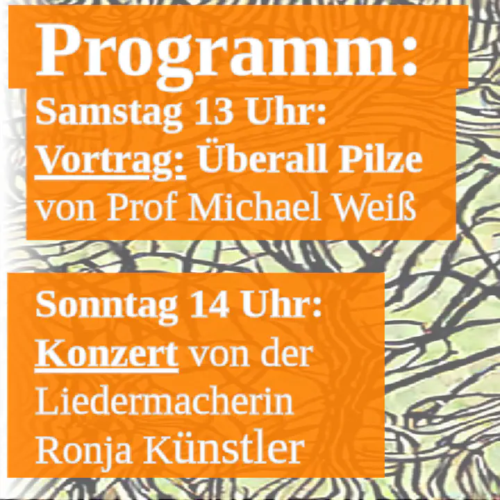 Programm 2
